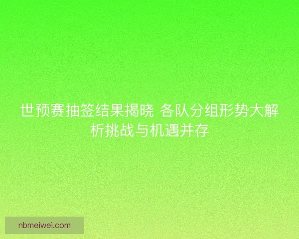 世预赛抽签结果揭晓 各队分组形势大解析挑战与机遇并存